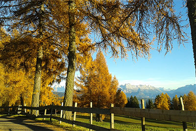 Herbst in Mölten