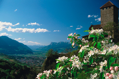 Schloss Tirol