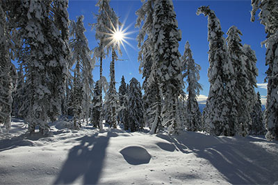 Winter in Mölten