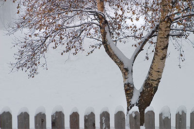 Winter in Mölten