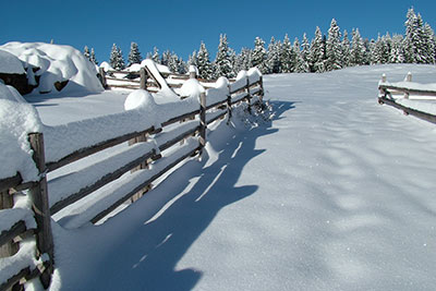 Winter in Mölten