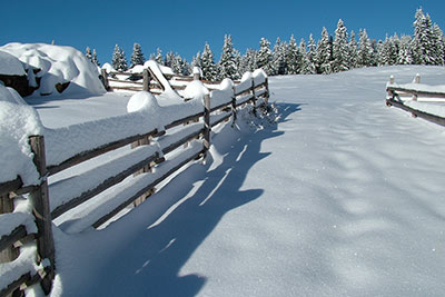 L`inverno a Meltina